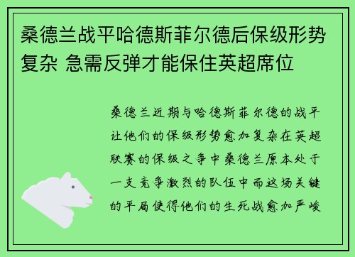 桑德兰战平哈德斯菲尔德后保级形势复杂 急需反弹才能保住英超席位 桑德兰战平哈德斯菲尔德后保级形势复杂 急需反弹才能保住英超席位